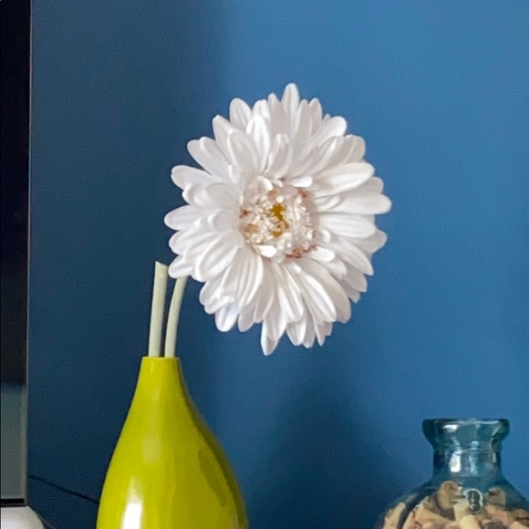 Meet your Posher, Cathy - Picture 1 of 1